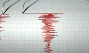 В Иркутской области зафиксировали землетрясение