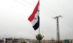 Сирия решила признать ДНР и ЛНР