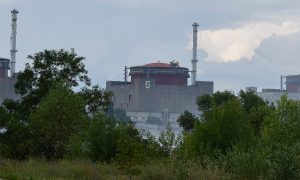 В Запорожье рассказали об обстреле территории АЭС