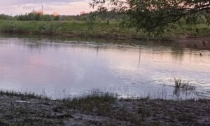 Тело подростка обнаружено в реке в Брянской области