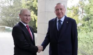 В Москве не исключили встречу Путина и Эрдогана