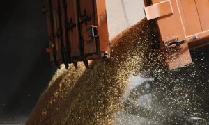 В России оценили перспективы продления «зерновой сделки»