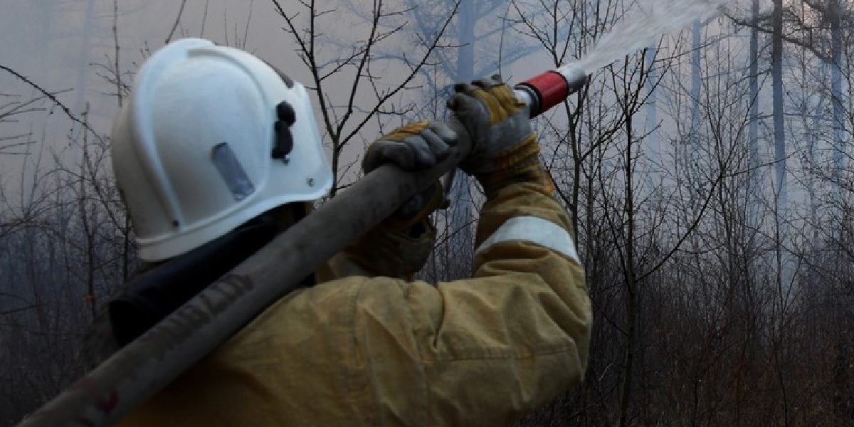 При пожаре на даче в Новосибирске погиб человек