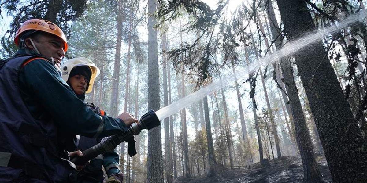 За сутки в России потушили 82 пожара