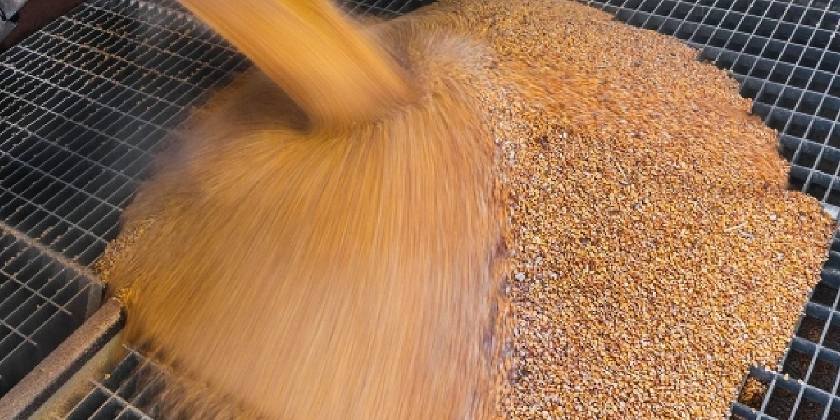 Песков прокомментировал ситуацию с “зерновой сделкой”