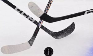 Международная федерация хоккея временно дисквалифицировала Федотова