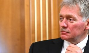 Песков прокомментировал тему переговоров Путина и Эрдогана по «зерновой сделке»