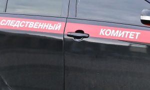В Благовещенске завели дело из-за смерти детей