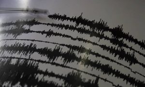 В Тихом океане произошло землетрясение