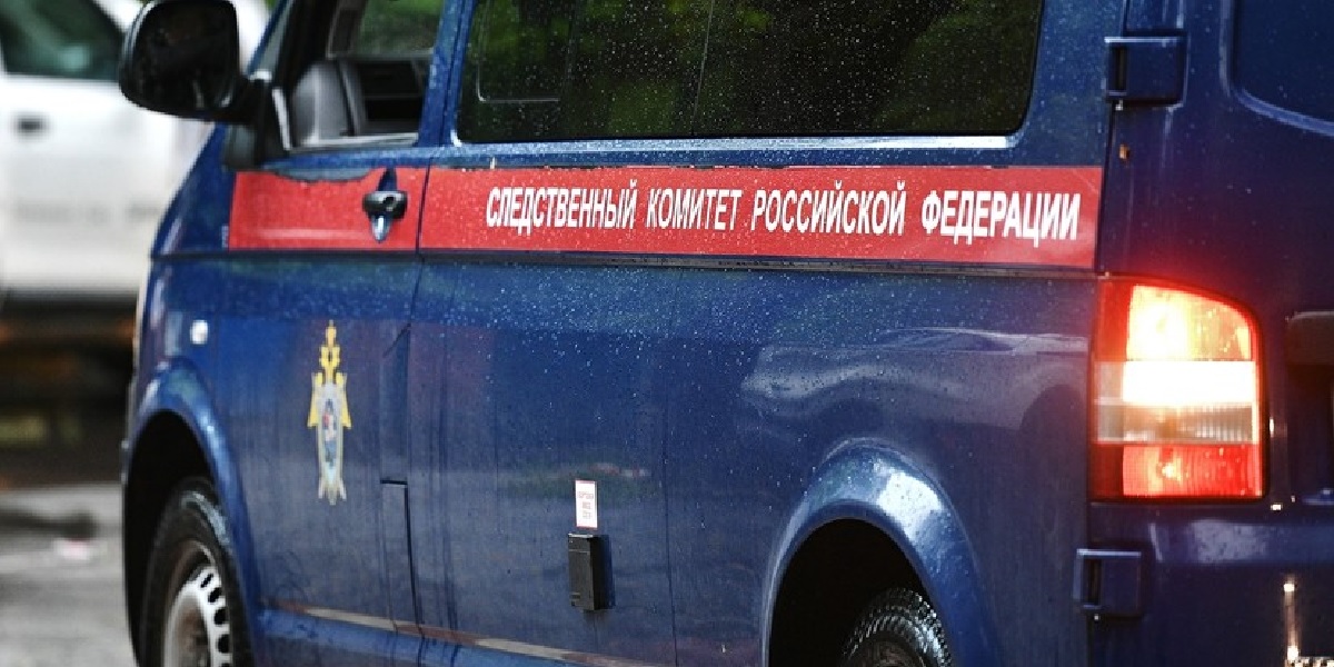 В Челябинской области школьница пострадала от действий сверстницы