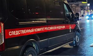 На Урале мужчина обвиняется в совершении убийства с использованием огнестрельного оружия