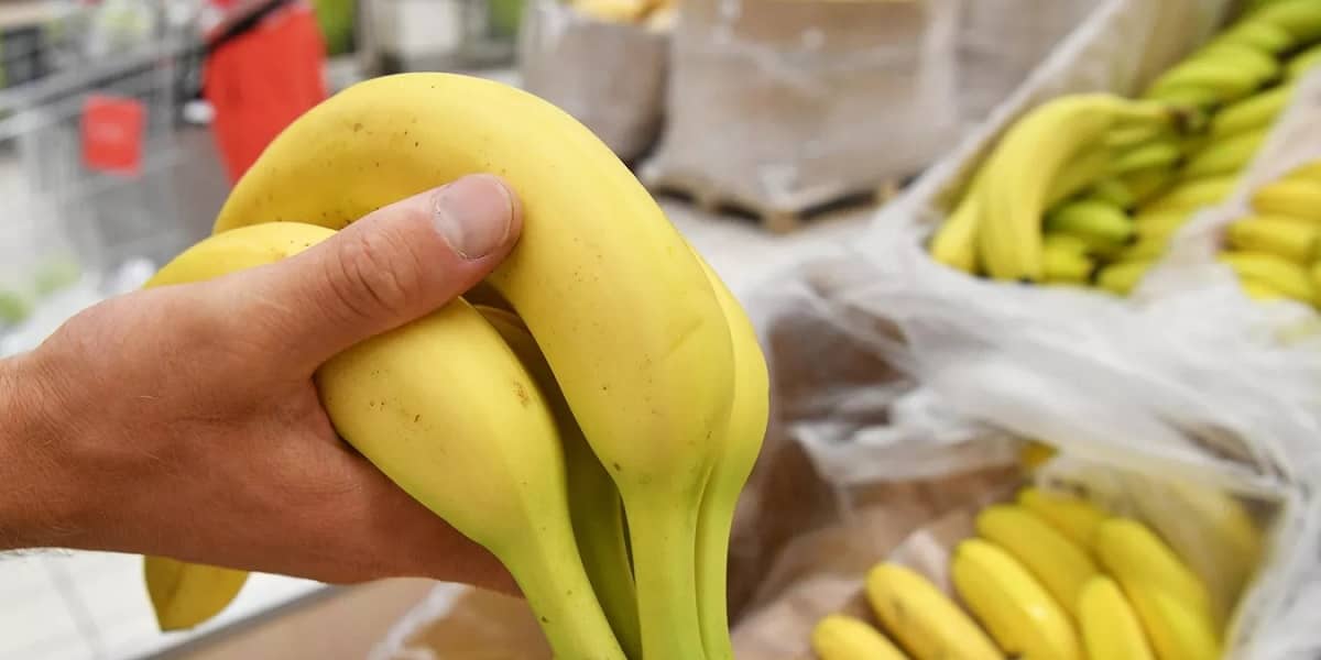 Суд поддержал решение о взыскании денег с бросившего банан болельщика