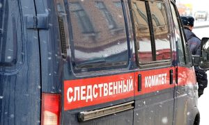 Жительница Челябинской области обвиняется в приготовлении к убийству