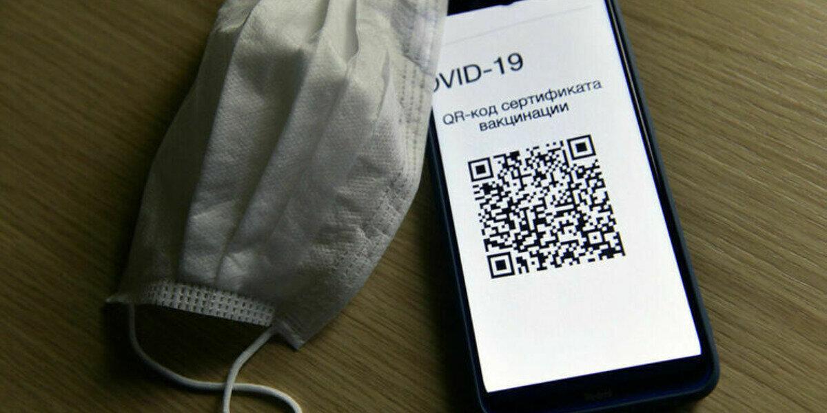 Комитет Совфеда поддержал концепцию законопроекта о QR-кодах в общественных местах