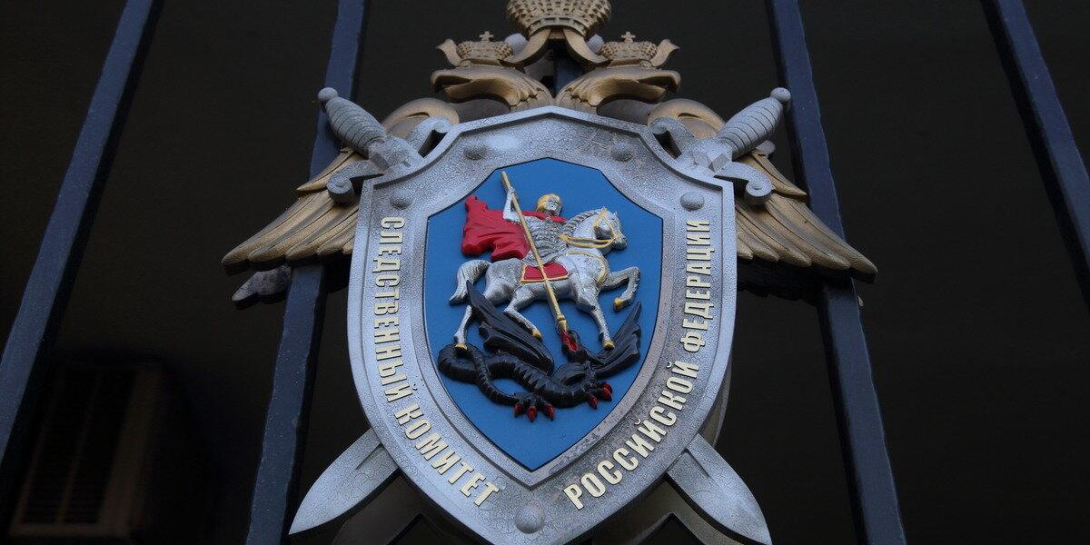 Возбуждено уголовное дело по факту нападения на православную гимназию в Серпухове