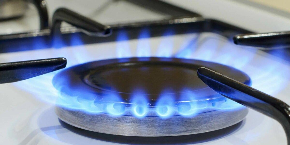 Чижов призвал ЕС увидеть в России партнера для разрешения газового кризиса
