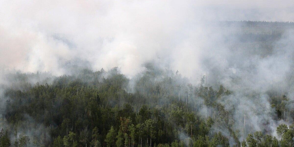 В МЧС прокомментировали ситуацию с пожарами в Башкирии