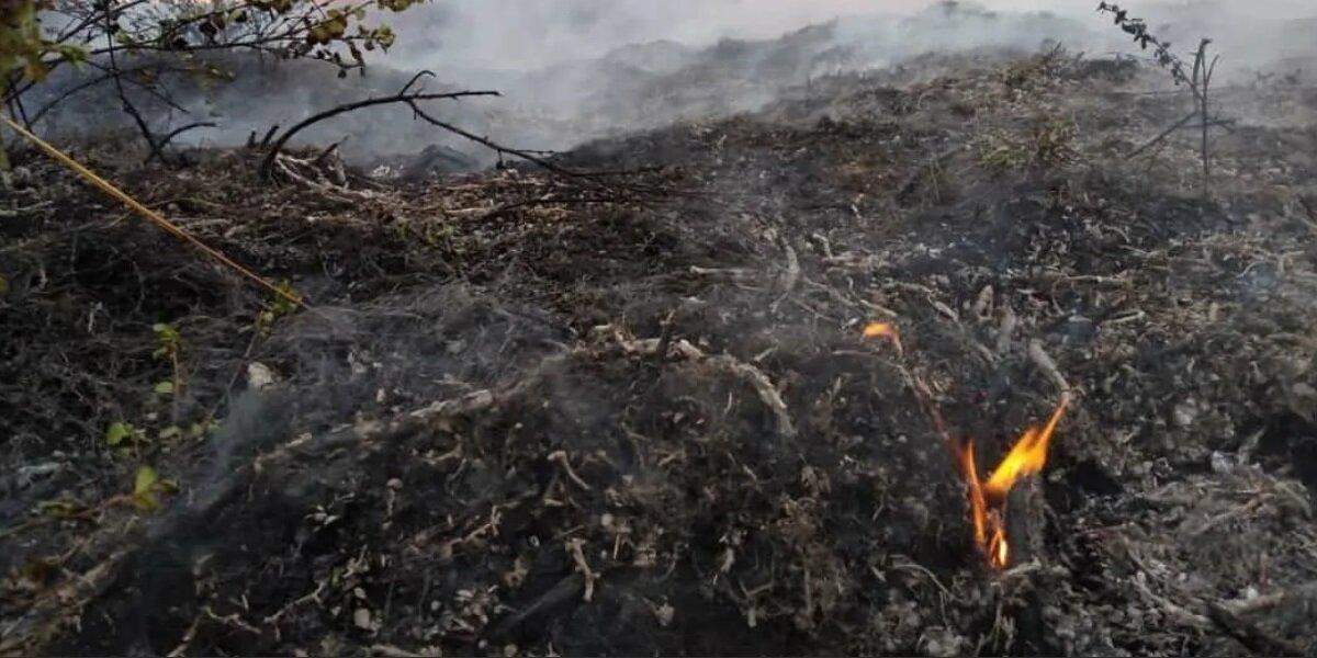 В МЧС оценили ситуацию с пожарами в Якутии
