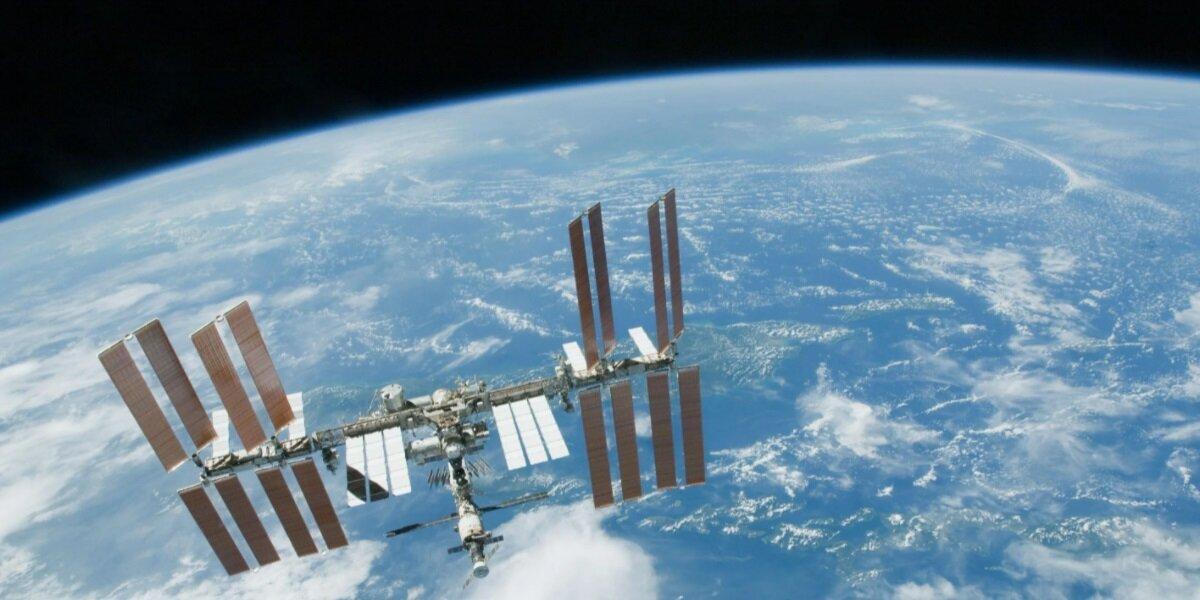 Космонавты займутся выращиванием зелени