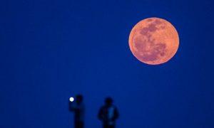 Европейское агентство прекратит участие в лунных миссиях РФ