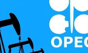 ОПЕК+ рекомендовал НАТО плановый рост добычи нефти в июне