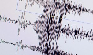 В Мексике случилось землетрясение