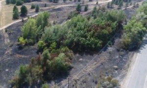 В Ростовской области рассказали о ликвидации природного пожара