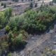 В Ростовской области рассказали о ликвидации природного пожара