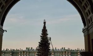 В Петербурге отменят мероприятия в честь Нового года